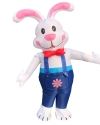 Adult Rabbit/Bunny Easter Inflatable blow up Costume