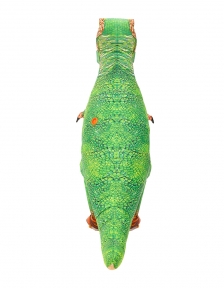 Print Dinosaur T-rex Inflatable blow up Costume