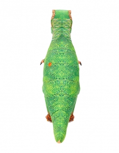 Print Dinosaur T-rex Inflatable blow up Costume